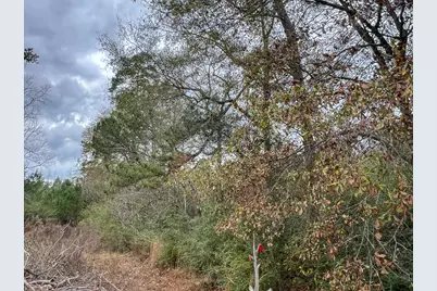 1 Fm 252, Kirbyville, TX 75956 - Photo 5