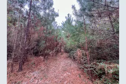 1 Fm 252, Kirbyville, TX 75956 - Photo 11