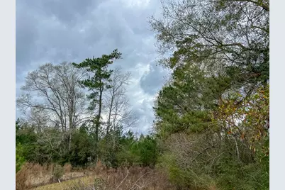 1 Fm 252, Kirbyville, TX 75956 - Photo 9