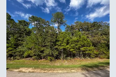 11805 & 11809 White Oak Pass, Conroe, TX 77385 - Photo 3