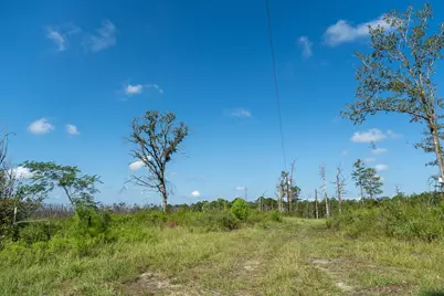 117 County Road 33, Jasper, TX 75938 - Photo 5