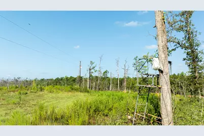 117 County Road 33, Jasper, TX 75938 - Photo 19