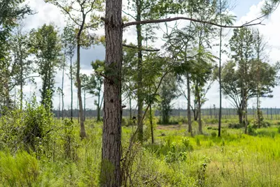 117 County Road 33, Jasper, TX 75938 - Photo 15