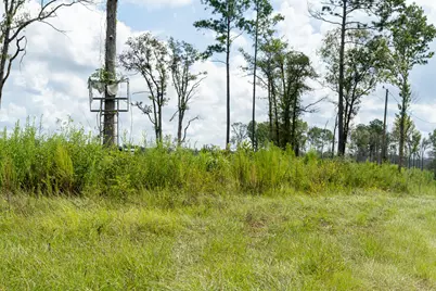 117 County Road 33, Jasper, TX 75938 - Photo 13