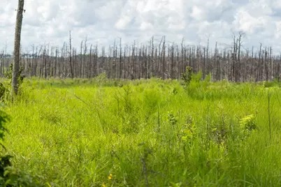 117 County Road 33, Jasper, TX 75938 - Photo 9