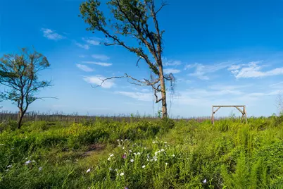 117 County Road 33, Jasper, TX 75938 - Photo 3