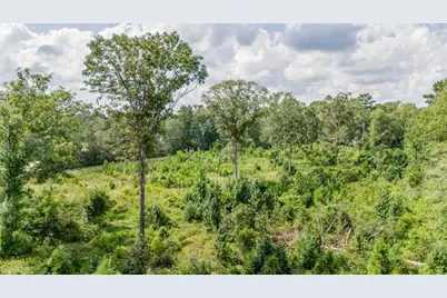 17171 E Fm 1097 Road, Willis, TX 77378 - Photo 11