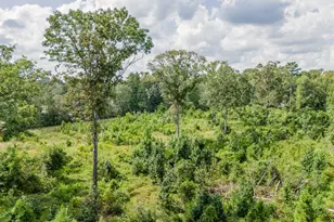 17171 E Fm 1097 Rd, Willis, TX 77378 - Photo 11