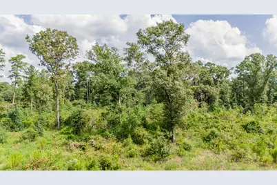 17171 E Fm 1097 Road, Willis, TX 77378 - Photo 13