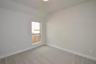29311 Mesquite Oaks Dr, Fulshear, TX 77494 - Photo 19