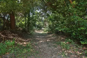 3018 McDonald Ct, Spring, TX 77380 - Photo 47