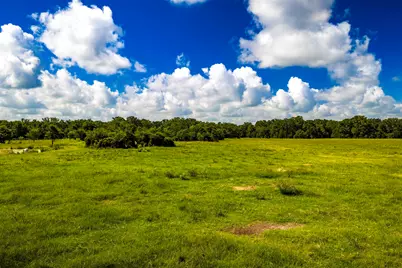 6559 Highway 21 W, Madisonville, TX 77864 - Photo 41