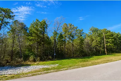 10-29-6 Lonestar Road, Huntsville, TX 77340 - Photo 5