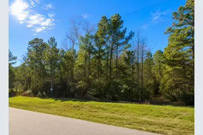10-29-6 Lonestar Road, Huntsville, TX 77340 - Photo 3