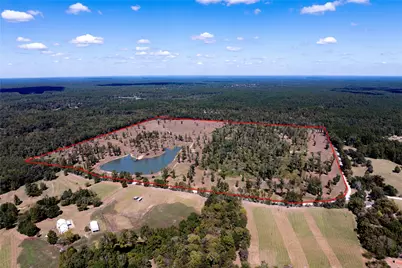 000 County Road  4700, Kennard, TX 75847 - Photo 13