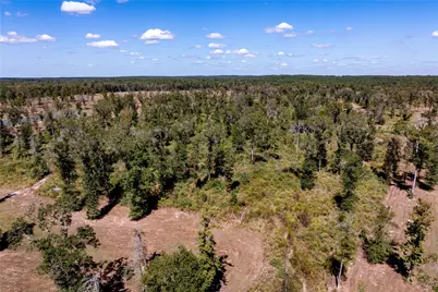 000 County Road  4700, Kennard, TX 75847 - Photo 15