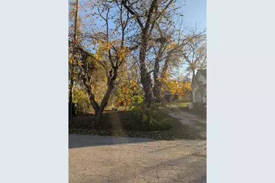 3104 Roland Street, Houston, TX 77026 - Photo 3