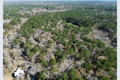 0 Tr 9 Dunnam Road, Kingwood, TX 77345 - Photo 35