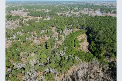 0 Tr 9 Dunnam Road, Kingwood, TX 77345 - Photo 39