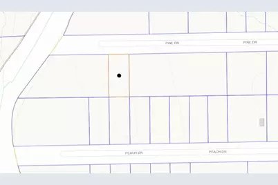 000 Pine Drive, New Caney, TX 77357 - Photo 3