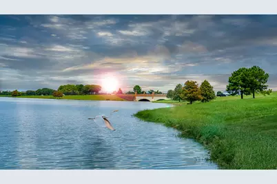 11230 White Crownbeard Drive, Cypress, TX 77433 - Photo 9