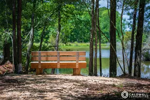 10131 Lehman Dr, Willis, TX 77318 - Photo 41