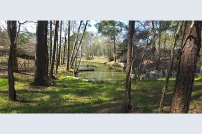 0 Big Deer Drive, Houston, TX 77532 - Photo 3