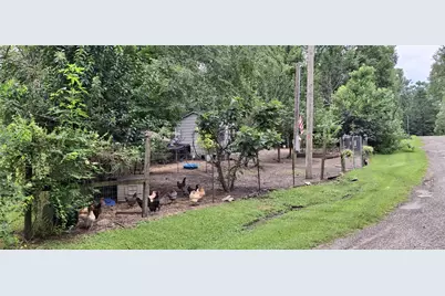 318 Ridgewood Road, Goodrich, TX 77335 - Photo 41