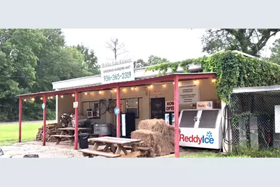 318 Ridgewood Road, Goodrich, TX 77335 - Photo 45