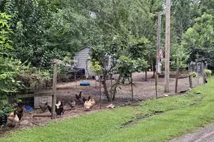 318 Ridgewood Rd, Goodrich, TX 77335 - Photo 43