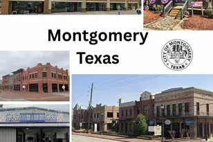 1003 Martin Luther King, Montgomery, TX 77356 - Photo 17