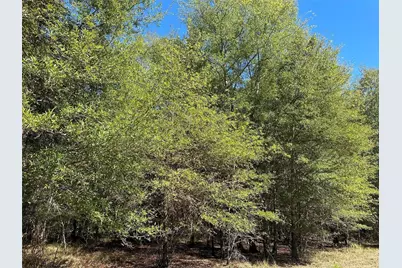 Tbd Somerset Trail Road, Point Blank, TX 77364 - Photo 19