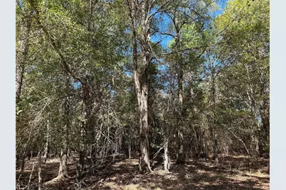 Tbd Somerset Trail Road, Point Blank, TX 77364 - Photo 21