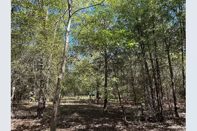 Tbd Somerset Trail Road, Point Blank, TX 77364 - Photo 13