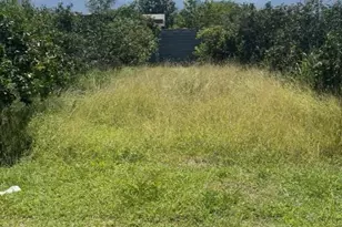 Los Portales Esquina Con El Valle Corner, Almont, CO 67350 - Photo 15