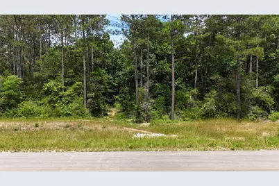 16308 Golden Wood Court, Willis, TX 77378 - Photo 1