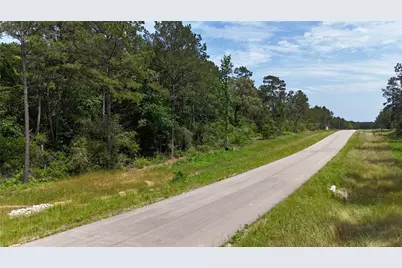 16308 Golden Wood Court, Willis, TX 77378 - Photo 3