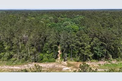 16308 Golden Wood Court, Willis, TX 77378 - Photo 11