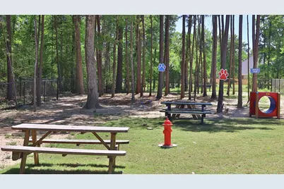 211 Silver Sage Court, Conroe, TX 77304 - Photo 25