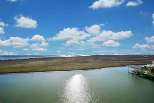 7 Little Torch, Hitchcock, TX 77563 - Photo 41