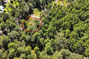 N/A County Road 2218, Cleveland, TX 77327 - Photo 1