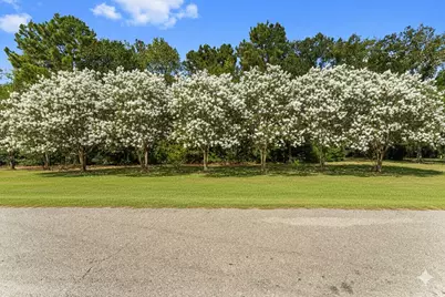 102 Forest Wind Court, Montgomery, TX 77316 - Photo 3