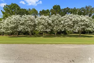 102 Forest Wind Ct, Montgomery, TX 77316 - Photo 3