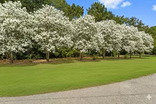 102 Forest Wind Ct, Montgomery, TX 77316 - Photo 25