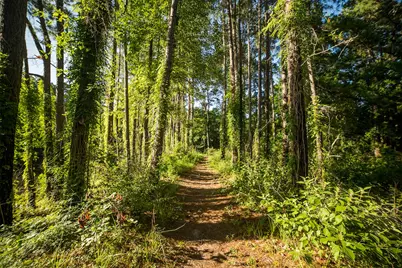 5-25-12 Inscription Lane, Huntsville, TX 77340 - Photo 15