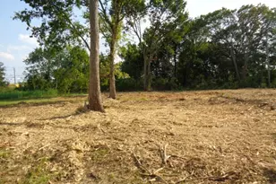 3630 Nita St, Houston, TX 77051 - Photo 3