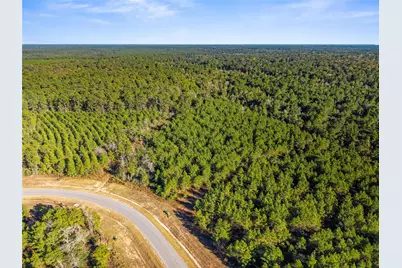 12684 Oak Barrel Road, Willis, TX 77378 - Photo 5