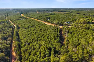 12684 Oak Barrel Rd, Willis, TX 77378 - Photo 9