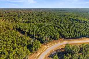 12684 Oak Barrel Rd, Willis, TX 77378 - Photo 11