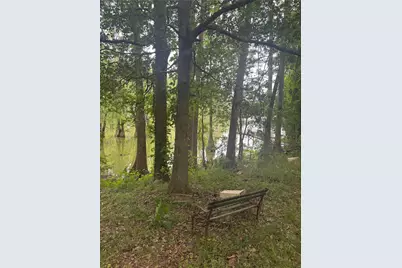 45 County Road 2859, Cleveland, TX 77327 - Photo 3